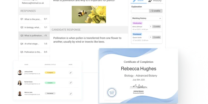 On-platform marking dashboard and grading interface.