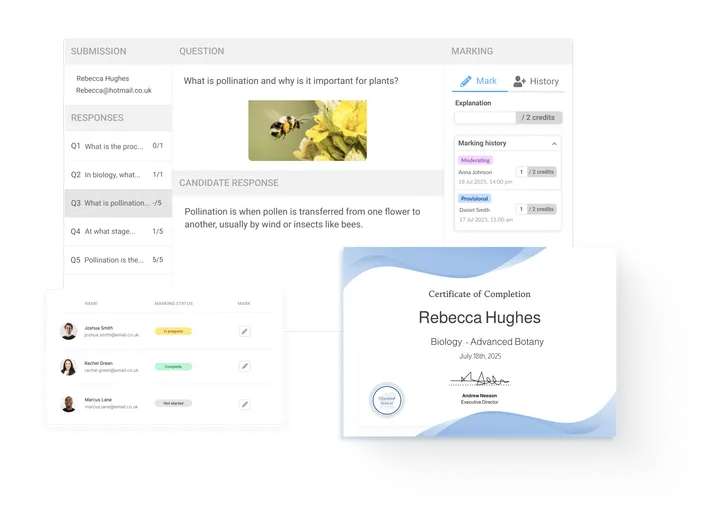 On-platform marking dashboard and grading interface.