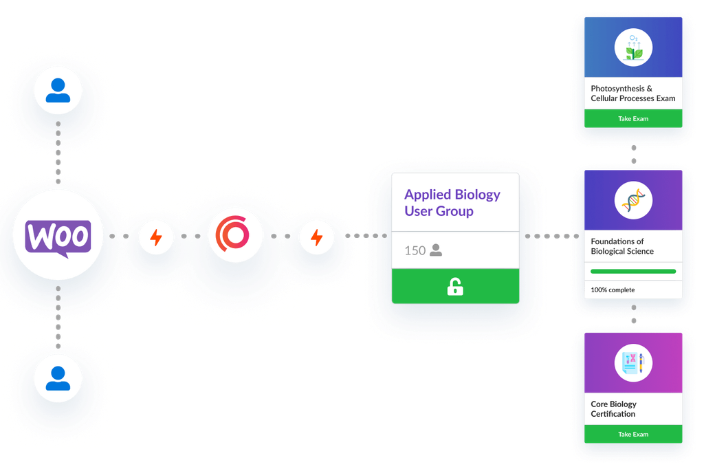 Automated assignments.
