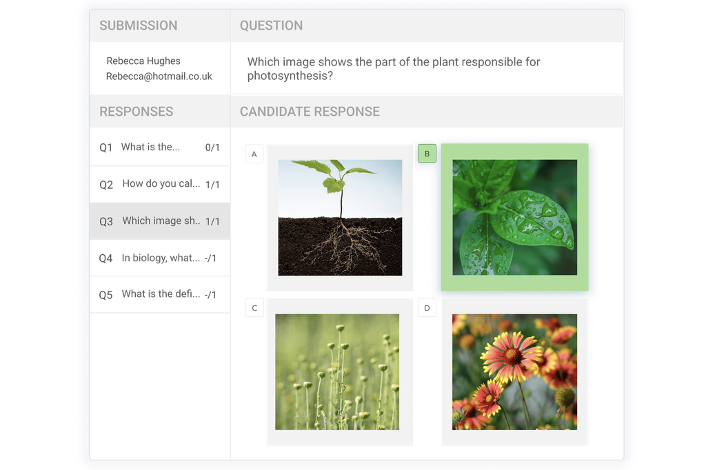 Automatic marking of a multiple-choice question in Synap.
