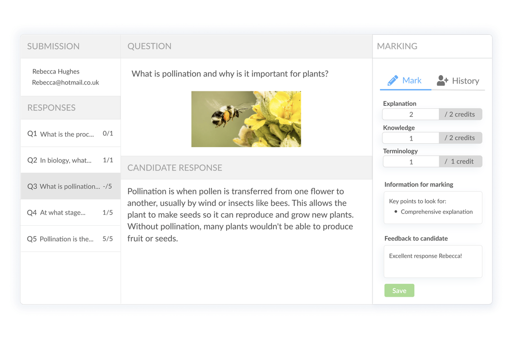 On-platform marking interface with rubric credits, marking guidelines and candidate feedback fields.