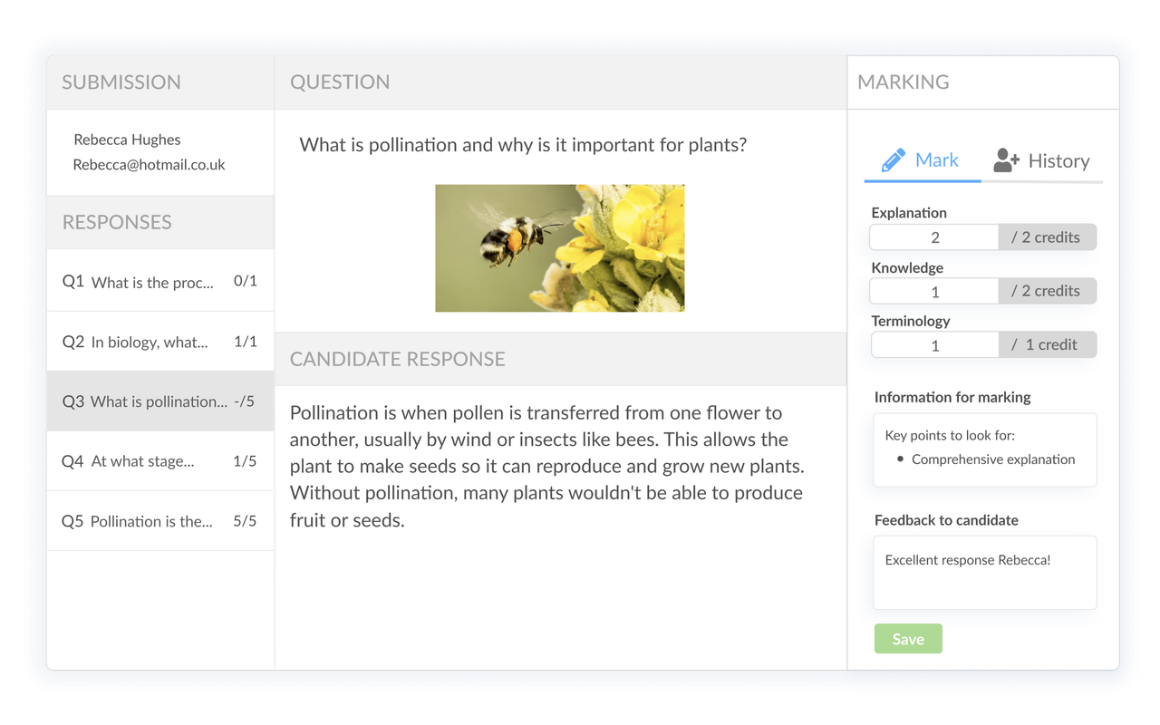 Synap marking interface with rubric and candidate feedback.
