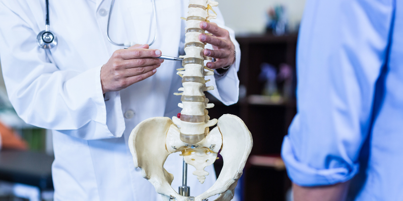Doctor pointing to vertebrae on skeletal model