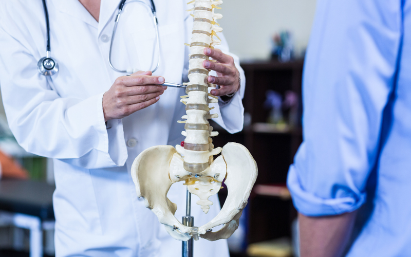 Doctor pointing to vertebrae on skeletal model