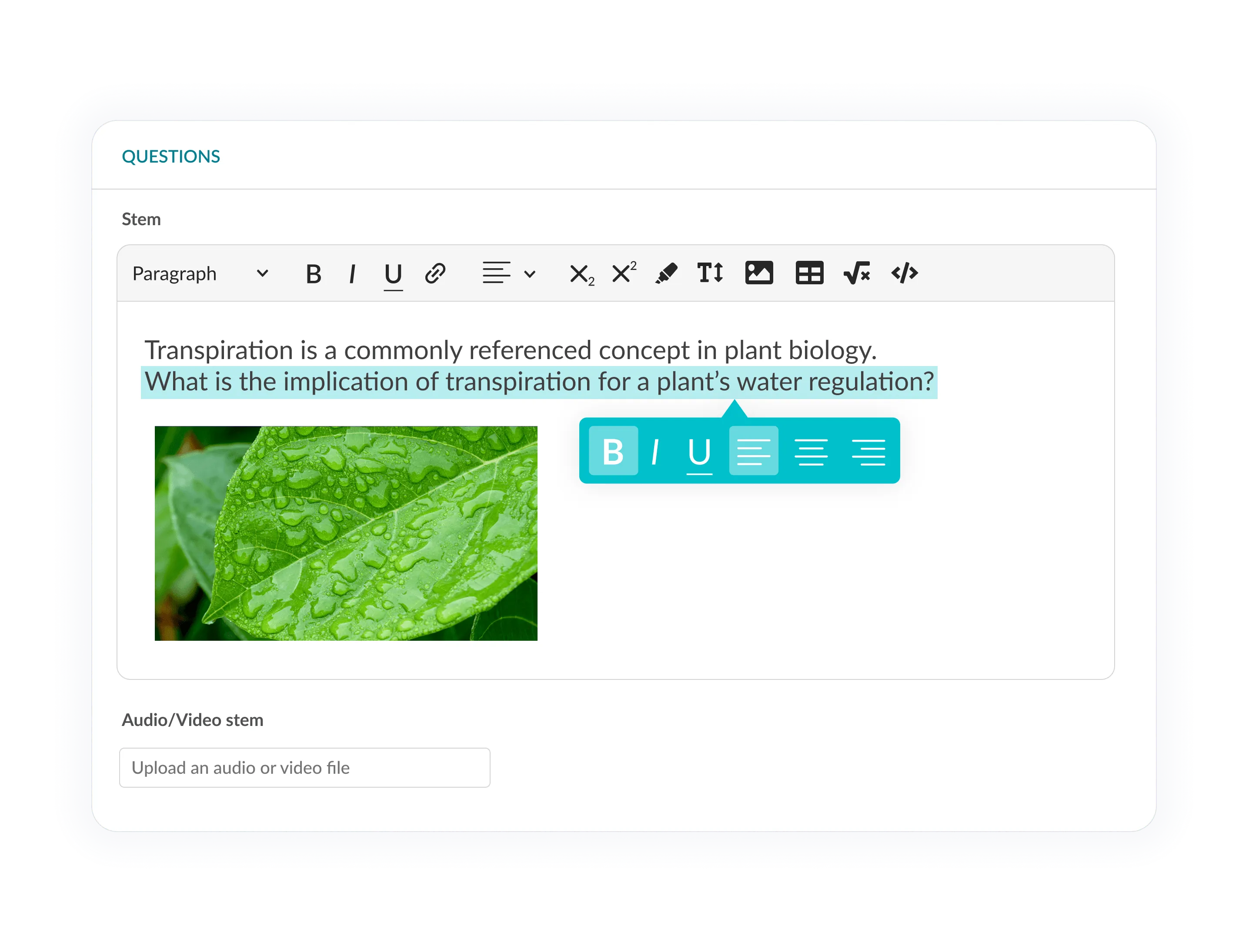 Rich text question editor with formatting controls and an embedded plant biology image.