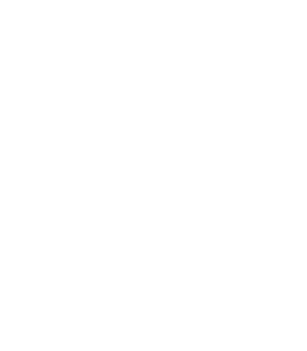 Synap LinkedIn Profile