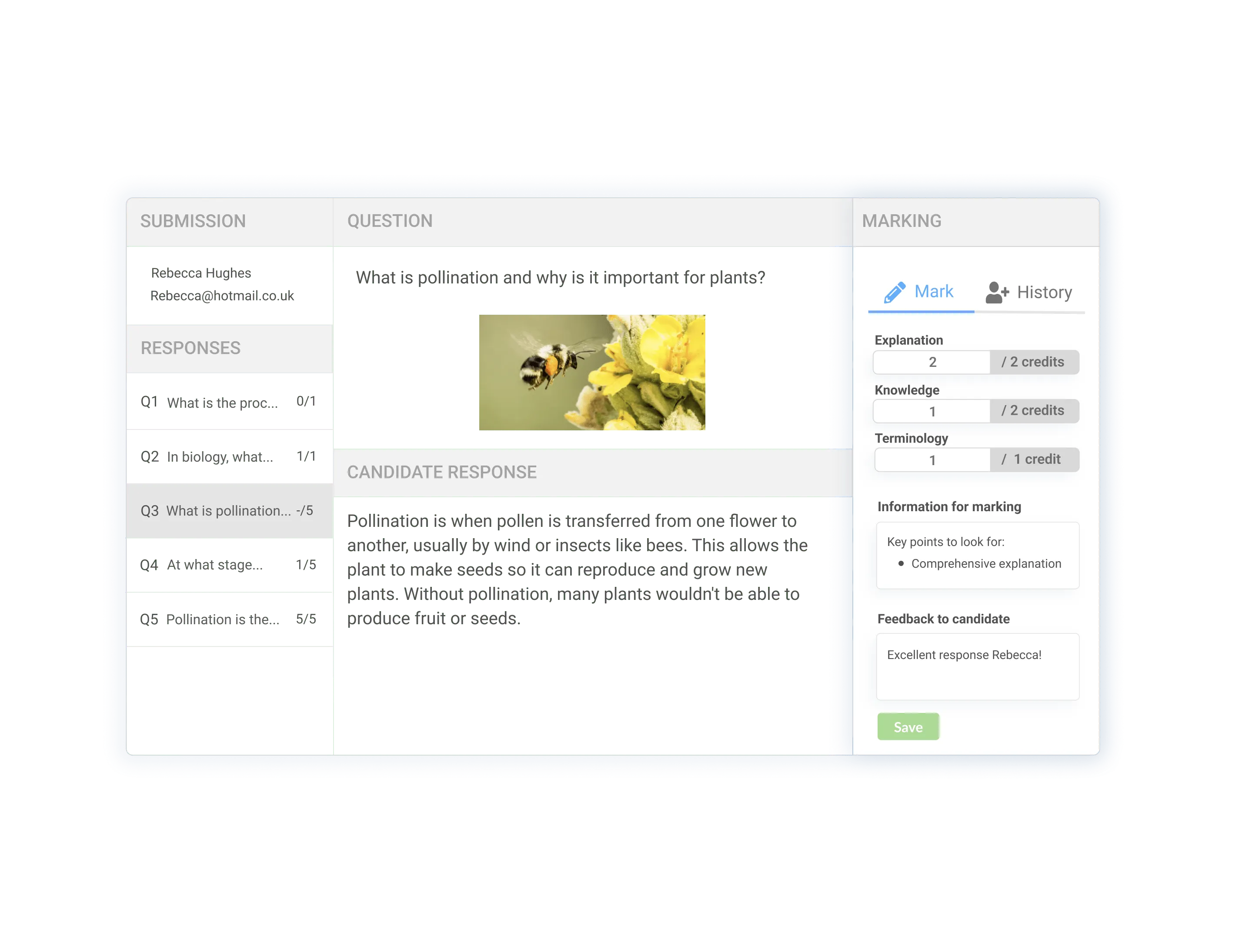 On-platform marking interface with rubric credits, marking guidelines and candidate feedback fields.